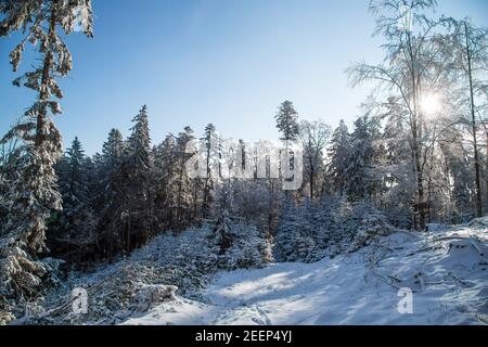 Sonniger Wintertag im Waldviertel, Österreich Stockfoto