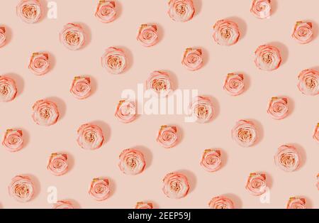 Trendige Sonnenlicht Sommer Muster mit rosa Rosen Köpfe über pastellbeige Hintergrund. Minimal Sommer Natur Konzept. Stockfoto