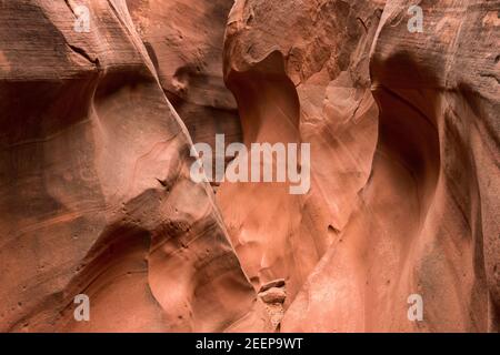 Sehr schmaler Durchgang im Spooky Gulch Slot Canyon im Grand Staircase-Escalante Gebiet von Utah. Stockfoto