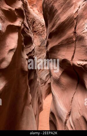 Sehr schmaler Durchgang im Spooky Gulch Slot Canyon im Grand Staircase-Escalante Gebiet von Utah. Stockfoto