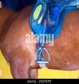 Sattel und Steigbügel auf einem braunen Pferd Stockfoto