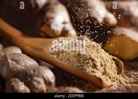 Frische Ingwerwurzel und gemahlenes Ingwerpulver werden auf der Eibe in einen Holzlöffel gegeben. Gesundes Essen, Würze. Zingiber officinale Stockfoto
