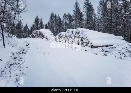Winter im Nationalpark Harz, Deutschland. Moody schneebedeckte Landschaft im deutschen Wald Stockfoto
