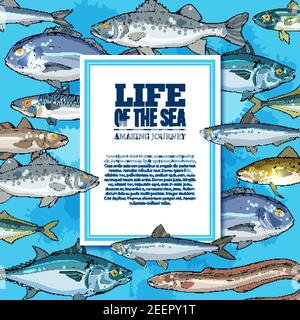 Sea Life Poster mit Meeresfischen von Marlin, Forelle oder Flunder und Lachs, Unterwasser-Marlin, Aal oder Thunfisch und Makrele mit Sardellenfischen für oceanar Stock Vektor