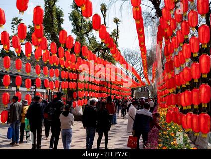 Kunming, Chinas Provinz Yunnan. Februar 2021, 16th. Menschen besuchen den Daguan Park in Kunming, südwestlich der Provinz Yunnan, 16. Februar 2021. Quelle: Chen Xinbo/Xinhua/Alamy Live News Stockfoto