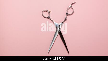 Flache Lage von professionellen Haarschneidescheren in der Mitte des Rahmens auf hellrosa Hintergrund. Friseursalon Ausstattung Konzept mit Kopierer Raum Stockfoto