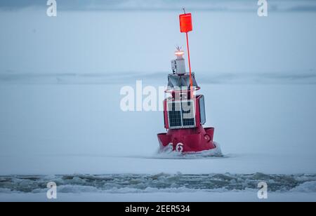 Stralsund, Deutschland. Februar 2021, 16th. Eine beleuchtete Fairwayboje für die Annäherung an den Hafen steckt im Eis fest. Das frostige Wetter der letzten Tage hat auf den Boddengewässern der Ostsee in Mecklenburg-Vorpommern eine Eisschicht verursacht. Quelle: Jens Büttner/dpa-Zentralbild/dpa/Alamy Live News Stockfoto