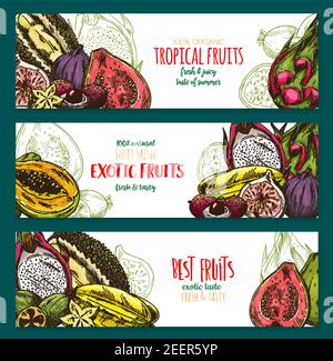 Exotische Frucht Skizze Banner der tropischen Beere. Vektor Papaya, Karambola, Feijoa, Passionsfrucht, Durian, Drachenfrucht oder Pitaya, Litschi, Feige und Guava p Stock Vektor