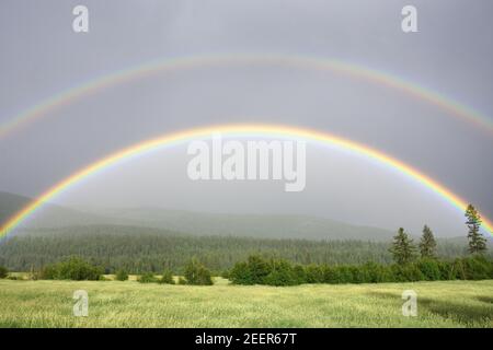 Doppelter Regenbogen über dem Yaak Valley im Sommer, nordwestlich von Montana. (Foto von Randy Beacham) Stockfoto