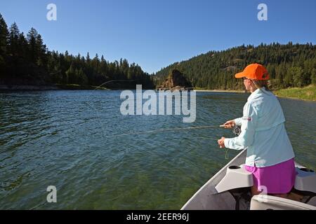 Joanne Linehan von Linehan Fliegenfischen auf dem Kootenai Fluss im Sommer. Lincoln County, nordwestlich von Montana. (Foto von Randy Beacham) Stockfoto