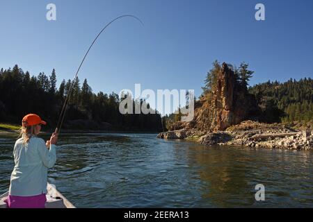 Joanne Linehan mit Linehan Ausbau Company Trockenfliegenfischen auf dem Kootenai Fluss im Sommer. Lincoln County, nordwestlich von Montana. Stockfoto