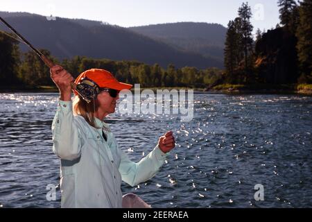 Joanne Linehan Fliegenfischen auf dem Kootenai River im Sommer. Lincoln County, Montana. (Foto von Randy Beacham) Stockfoto