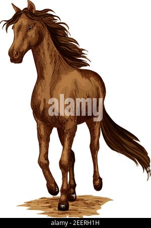 Pferd oder Rennpferd Tier laufen oder galoppieren mit winkender Mähne. Brauner Mustang oder wilder Hengst traben schnell für Pferdesport oder Reitsport Rennen con Stock Vektor