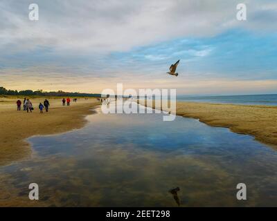 Strand in der Nähe der ostsee in Swinoujscie im november mit Wandern Menschen und Möwen fliegen und reflektieren in Pfütze Stockfoto