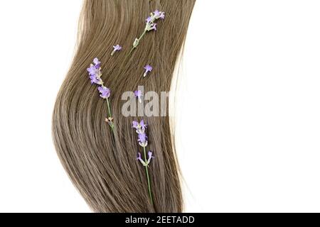 Schönheitskomposition mit weiblichen Haaren und Lavendel auf weißem Hintergrund. Flach liegend, Draufsicht Stockfoto