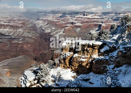 Bäume auf felsigen Ausbissen, bedeckt mit Schnee im Grand Canyon National Park. Rote Felsen der Canyon Wand im Hintergrund, mit Schnee bestäubt. Stockfoto