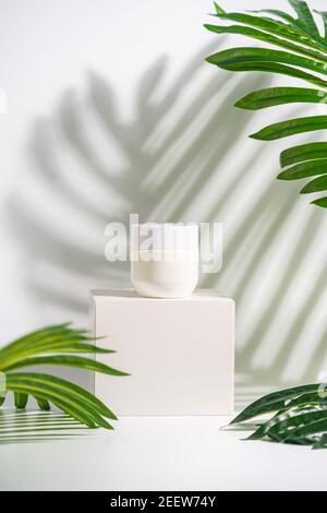 Glas kosmetische Creme auf Podium über weißem Hintergrund mit Palmblättern im Sonnenlicht. Helle Schatten. Minimal Stil Kosmetik Vorlage Stockfoto