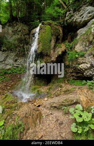 Kleiner Wasserfall im Wald in der Wutachklamm, Deutschland Stockfoto