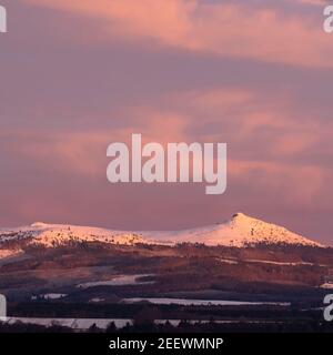 Der Himmel und die Wolken über schneebedeckter Bennachie in Aberdeenshire drehen sich Rosa kurz vor Sonnenaufgang an einem Wintermorgen Stockfoto