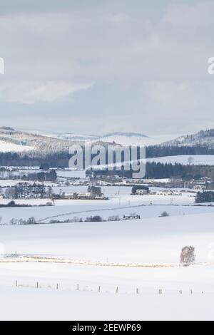 Ein Winterblick auf schneebedecktes Farmland in Corsendae in Aberdeenshire, mit Blick auf Ordhead mit der Suie in the Distance Stockfoto