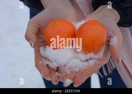 Zwei Mandarinen und Schnee in den Händen der Frau Nahaufnahme. Winterkomposition von Zitrusfrüchten. Stockfoto