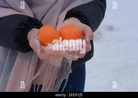 Frauenhände halten helle Mandarinen im Schnee. Winterkomposition. Stockfoto