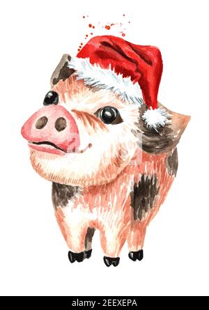 Kleine niedliche lustige Teetasse Mini Schwein in der Weihnachtsmütze. Symbol des neuen Jahres. Aquarell handgezeichnete Illustration, isoliert auf weißem Hintergrund Stockfoto