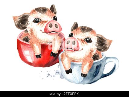 Zwei kleine niedliche lustige Teetasse Mini Schwein in der roten Tee-Tasse. Aquarell handgezeichnete Illustration, isoliert auf weißem Hintergrund Stockfoto