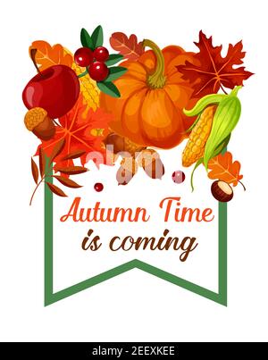 Herbstzeit kommt Plakat von Kürbis, Mais oder Kirsche Beerenernte, Ahornblatt oder Pappel und Birke Laub, Eichel und Eberesche. Vektordesign Stock Vektor