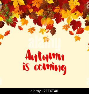 Herbst kommt Poster Vorlage von Laub und Herbstblätter für saisonale Grußkarte oder Herbst Verkauf Design. Vektor fallen Ahornblatt, Eiche Eichel oder Stock Vektor