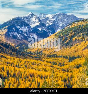 Unbenannte Gipfel in den Missionsbergen Wildnis oberhalb der Herbstlärche im Elchbach-Tal bei condon, montana Stockfoto