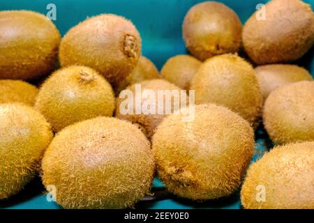 Eine Kiste Kiwi (Actinidia deliciosa) Früchte in einem Gemüsehändler. Kiiwifruit oder chinesische Stachelbeere, eine haarige essbare Beerenfrucht. Stockfoto