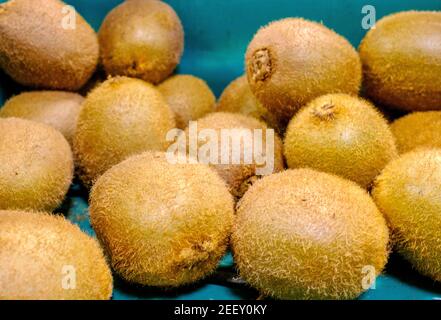 Eine Kiste Kiwi (Actinidia deliciosa) Früchte in einem Gemüsehändler. Kiiwifruit oder chinesische Stachelbeere, eine haarige essbare Beerenfrucht. Stockfoto