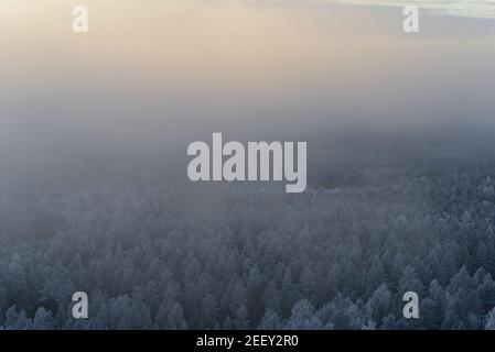 Herbst Winterlandschaft im dichten Nebel mit Sonnenschein, Norwegen Stockfoto