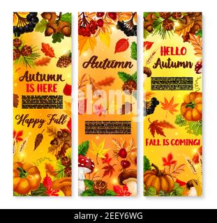 Hallo Herbst oder Herbst kommt hier Banner. Vector September Wald Natur Ernte von Kürbis, Eberesche Beere und Eicheln, fallende Blätter von Ahorn, Eiche o Stock Vektor