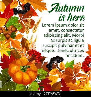 Herbstkürbis und Herbstsaison Blatt Poster. Herbstlaub von Ahornbaum, Orange Kürbis Gemüse, gelbe Blätter, Eichel und Eberesche Beerenzweig, reif Stock Vektor