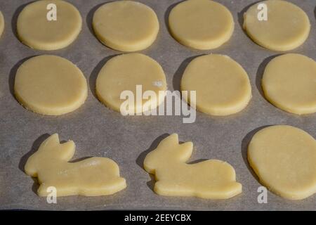 Verschiedene oster-Plätzchen auf Backblech als Hintergrund Stockfoto