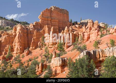 Red Canyon, Utah, USA. Hoodoo Landschaft durch Erosion von Sedimentgesteinen verursacht Stockfoto