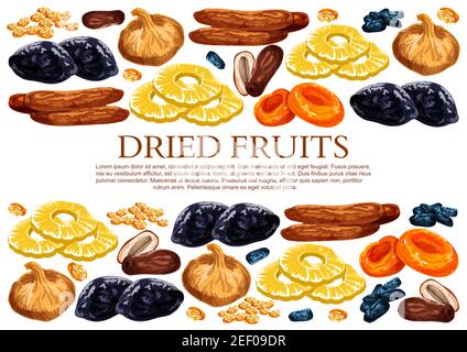 Getrocknete Früchte Poster Vorlage von süßen trockenen Obst Snacks. Vector getrocknete Rosinen, Pflaumen oder Aprikose und Datteln in süßer Mischung aus Feigen, Ananas oder Kirsche an Stock Vektor