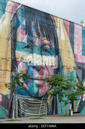 RIO DE JANEIRO, BRASILIEN - 3. JANUAR 2020: Teil des Wandbildes "Etnias" (Ethnien), das Teil des Olympischen Boulevards ist, im Port Zon Stockfoto