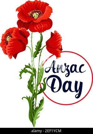 Anzac Day Mohnschaufel-Ikone für den Kriegsgedenktag von Soldaten und Veteranen aus Australien und Neuseeland. Vektor rote Blumen Symbol für Freiheit und Erbse Stock Vektor
