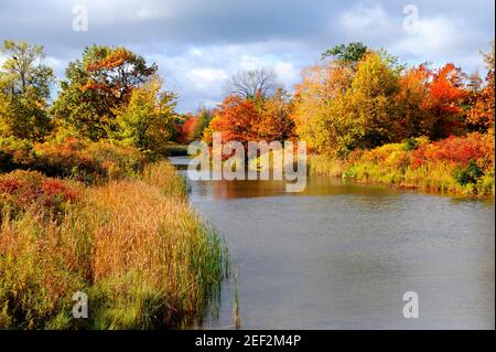 Landschaftlich reizvolle aussicht im Presque Isle State Park Erie Pennsylvania entlang Lake Erie Stockfoto