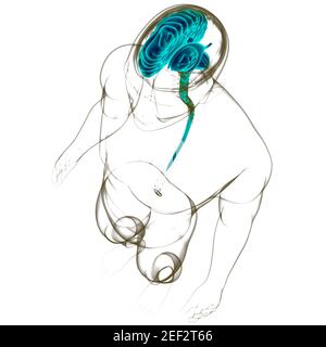 Menschliche Gehirn Anatomie für medizinisches Konzept 3D Illustration Stockfoto