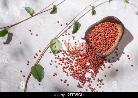 Achiote Körner in Holzschale auf weißem Hintergrund (Bixa orellana) Stockfoto