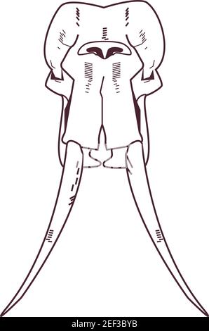 Schädel Kopf des wilden Elefanten Symbol Vektor Illustration Design Stock Vektor