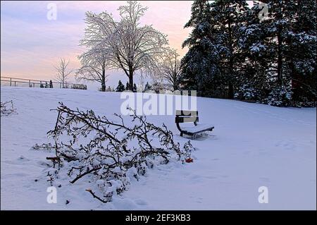 Winterlandschaft im Park mit dem beschädigten Baum nach einem eisigen Regensturm, Unwetter. Stockfoto