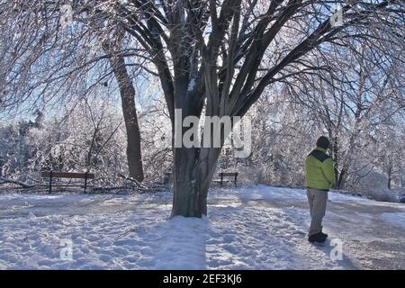 Toronto, Ontario / Canada - 12-24-2013: Winterlandschaft nach einem eisigen Regensturm im Park, Unwetter. Stockfoto