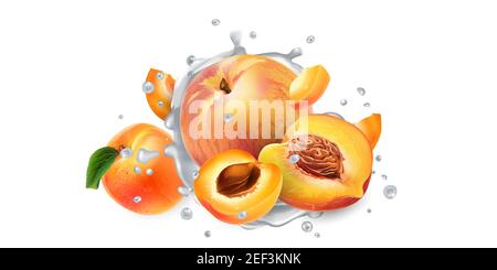 Aprikosen und Pfirsiche in Joghurt- oder Milchspritzern. Stockfoto