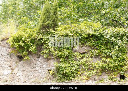 Altes Steinaquädukt, das Teil des Spaziergangs der Brücken Park in A Coruña, Spanien ist Stockfoto