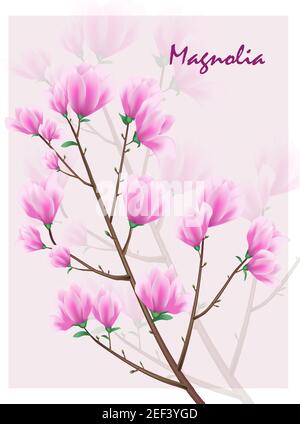 Vector Magnolia Blumen auf dem Brunch Stock Vektor